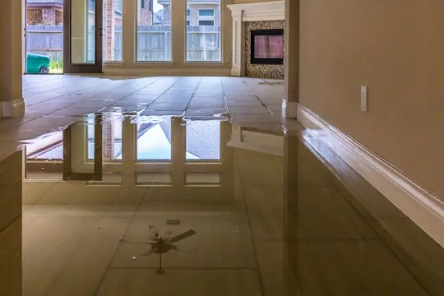 preventing mold after flooding